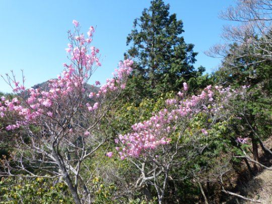 画像18